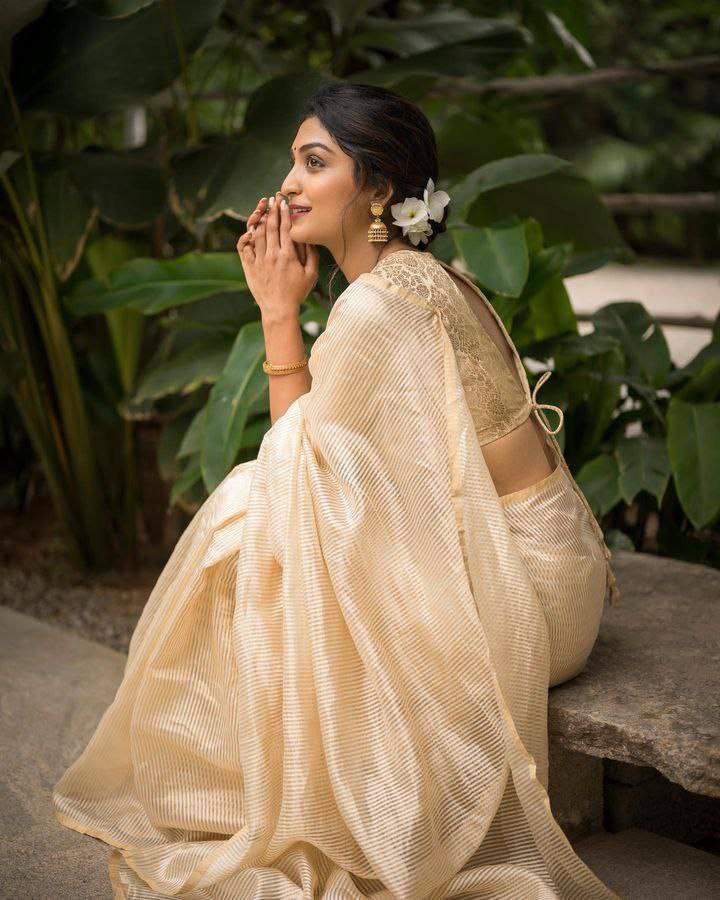White Organza Saree with Golden Zari Stripes and Brocade Jacquard Blouse